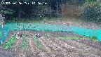 kannonmori-20250506104018.jpg