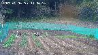 kannonmori-20250506110017.jpg