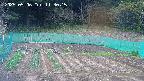 kannonmori-20250506113017.jpg