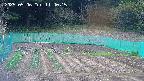 kannonmori-20250506114016.jpg