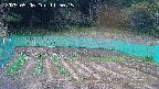 kannonmori-20250506115016.jpg