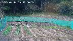 kannonmori-20250506120016.jpg
