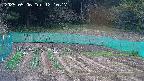 kannonmori-20250506121018.jpg