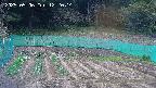 kannonmori-20250506122015.jpg