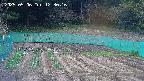 kannonmori-20250506123017.jpg