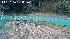 kannonmori-20250506124016.jpg