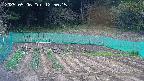 kannonmori-20250506125016.jpg
