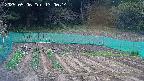 kannonmori-20250506130015.jpg