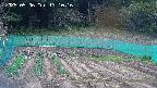kannonmori-20250506131017.jpg