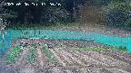 kannonmori-20250506132017.jpg