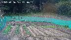 kannonmori-20250506133019.jpg