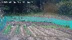 kannonmori-20250506134015.jpg