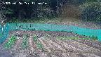 kannonmori-20250506135017.jpg