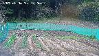 kannonmori-20250506140015.jpg
