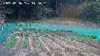 kannonmori-20250506142015.jpg