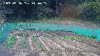 kannonmori-20250506145016.jpg