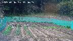 kannonmori-20250506154017.jpg