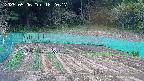 kannonmori-20250506162018.jpg