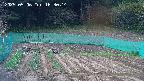 kannonmori-20250506163016.jpg
