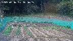kannonmori-20250506164016.jpg