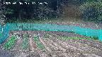 kannonmori-20250506171016.jpg