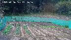 kannonmori-20250506172017.jpg