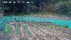 kannonmori-20250506173016.jpg