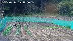 kannonmori-20250506180016.jpg