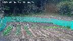 kannonmori-20250506183016.jpg