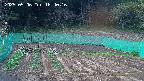 kannonmori-20250506184017.jpg