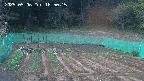 kannonmori-20250506185016.jpg