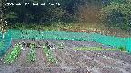 kannonmori-20250507051016.jpg