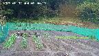 kannonmori-20250507053015.jpg