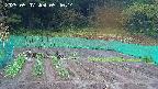 kannonmori-20250507054015.jpg