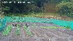 kannonmori-20250507055015.jpg