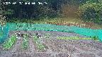 kannonmori-20250507060016.jpg