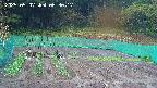 kannonmori-20250507063018.jpg