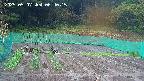kannonmori-20250507064016.jpg