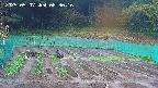 kannonmori-20250507083017.jpg