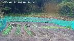 kannonmori-20250507084017.jpg