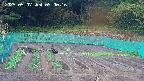 kannonmori-20250507090017.jpg