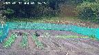 kannonmori-20250507092016.jpg