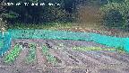 kannonmori-20250507093017.jpg