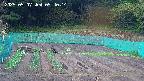 kannonmori-20250507094014.jpg