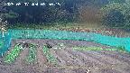kannonmori-20250507095016.jpg
