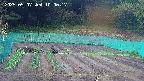 kannonmori-20250507100017.jpg