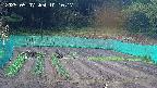 kannonmori-20250507101018.jpg
