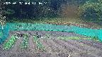 kannonmori-20250507114016.jpg