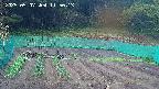 kannonmori-20250507115015.jpg