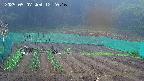 kannonmori-20250507122018.jpg